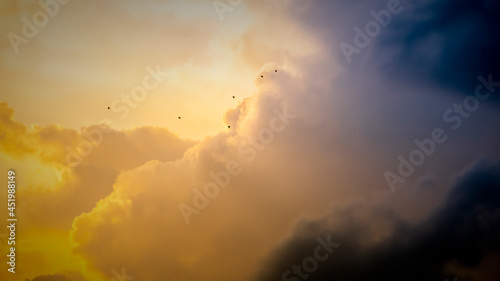 Surreal bright golden yellow cloudscape in the evening, Flock of silhouette birds flying high against the bright skies. Arriving of the darkness and the night concept.
