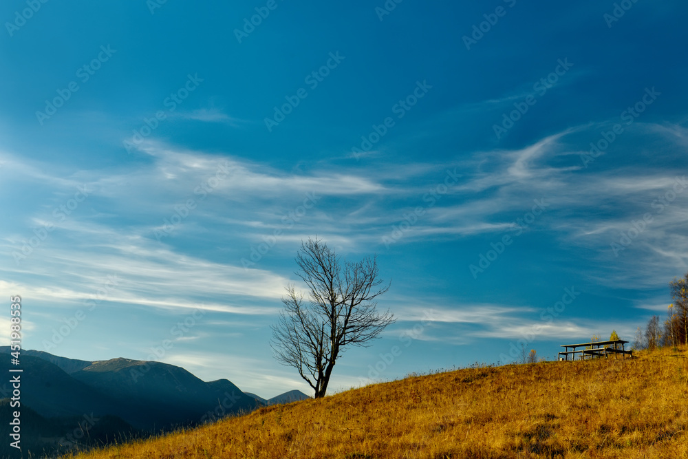 Resting place in the mountains. wooden simple table and benches with mountain and lonely tree views. 