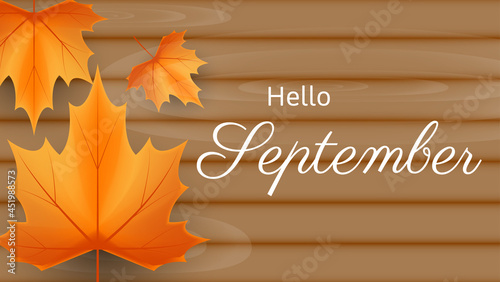 hello september background with autumn leaves