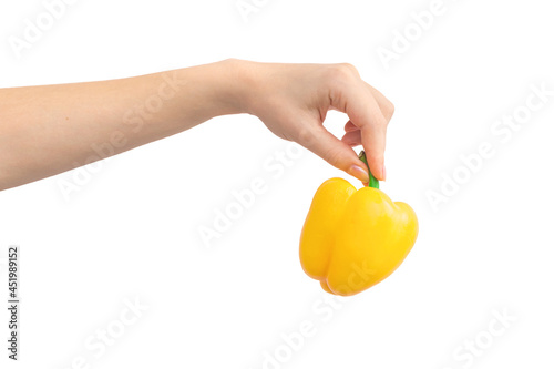 Hand with yellow sweet pepper in hand isolated on a white background