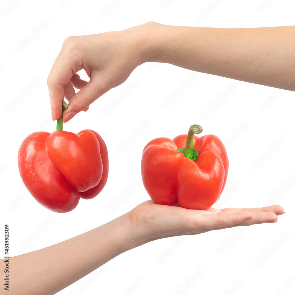Collage red sweet bell pepper in hand isolated on a white background. Vegetable in hand, banner design. Healthy food concept Collage red sweet bell pepper in hand isolated on a white background. Vegetable in hand, banner design. Healthy food concept