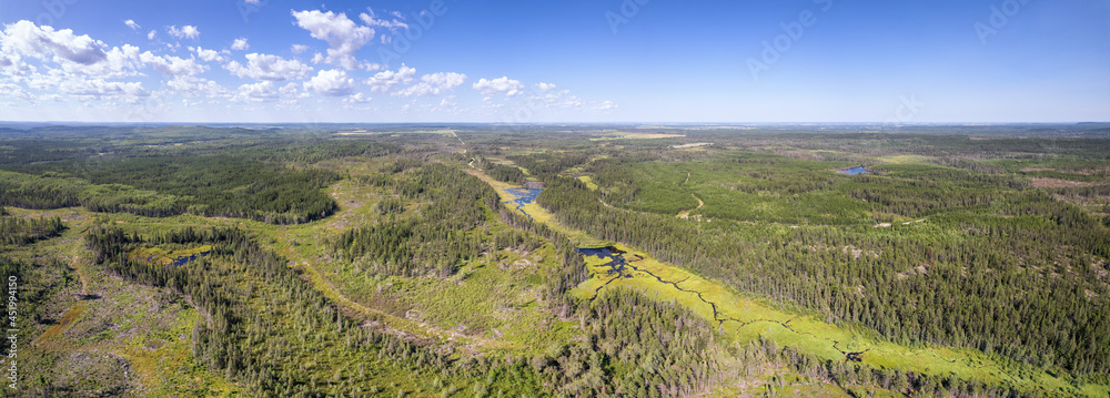 Aerial of wilderness forest landscape with river