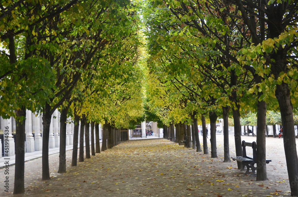 Autumn path in city centre of Paris.