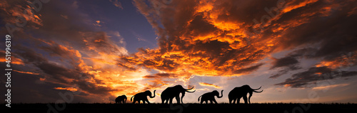 Elephants at sunset. Elephants walking by the lake.Bright Dramatic Sky And Dark Ground. Countryside Landscape Under Scenic Colorful Sky At Sunset Dawn Sunrise.safari.