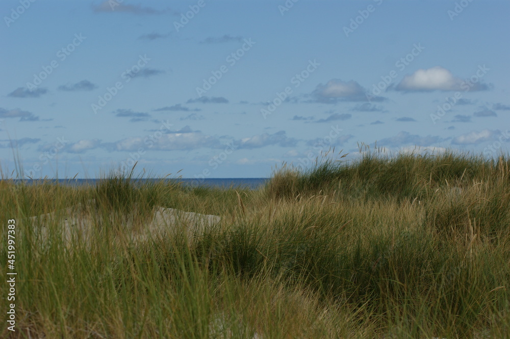 beach and grass with cloudy sky on Helgoland beach and grass with cloudy sky on Helgoland