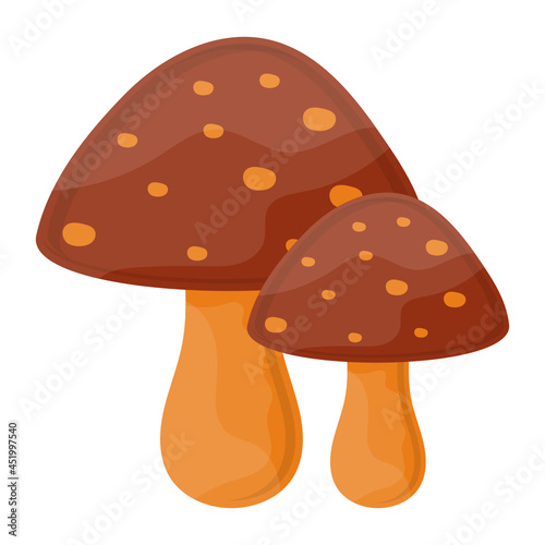 Toadstool Concept, Mushrooms or  fungus Vector Icon Design, Autumn or Fall activities Symbol, Dry weather Sign, Temperate climates Elements Stock illustration