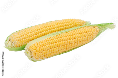 Healthy corn isolated on a white background