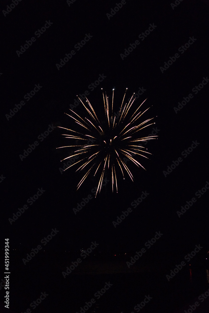 Beautiful Firework in the dark sky.