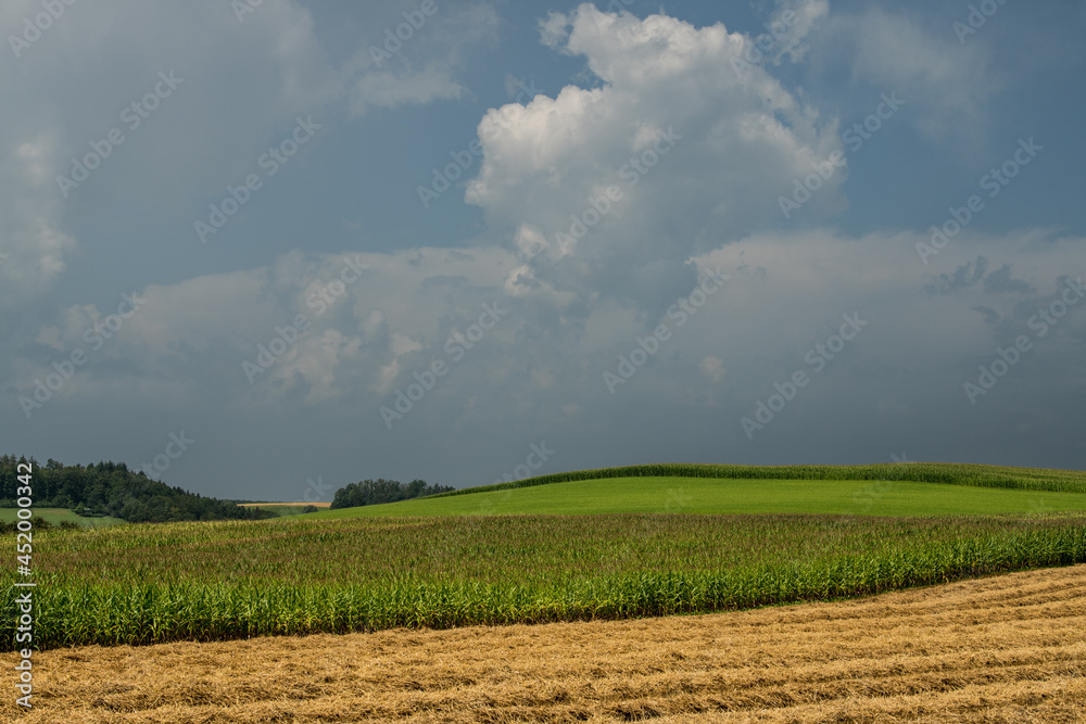 Gewitter
