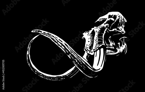 	
Graphical 3D skull of mammoth isolated on black background, vector paleontological element	
