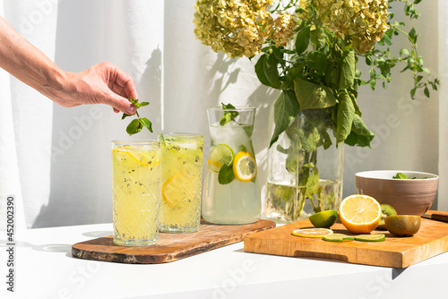 Photo of refreshing summer lemonade cocktail in glass with fresh citrus lime lemon and green mint outdoors with white background