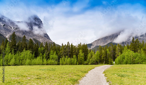 Hiking trail in Canada leading to a forest with tall craggy mountains covered in low cloud in the background.
