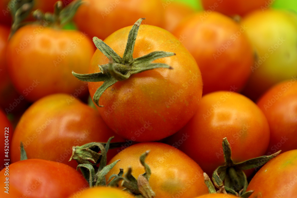 Pomodori biologici. Pomodori biologici.