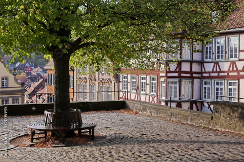 Autumn tree and beautiful half-timbered houses on the market square of Schwäbisch Hall