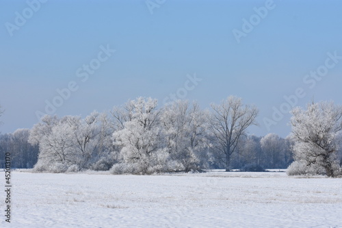 Schneelandschaft © TierNatur Foto 