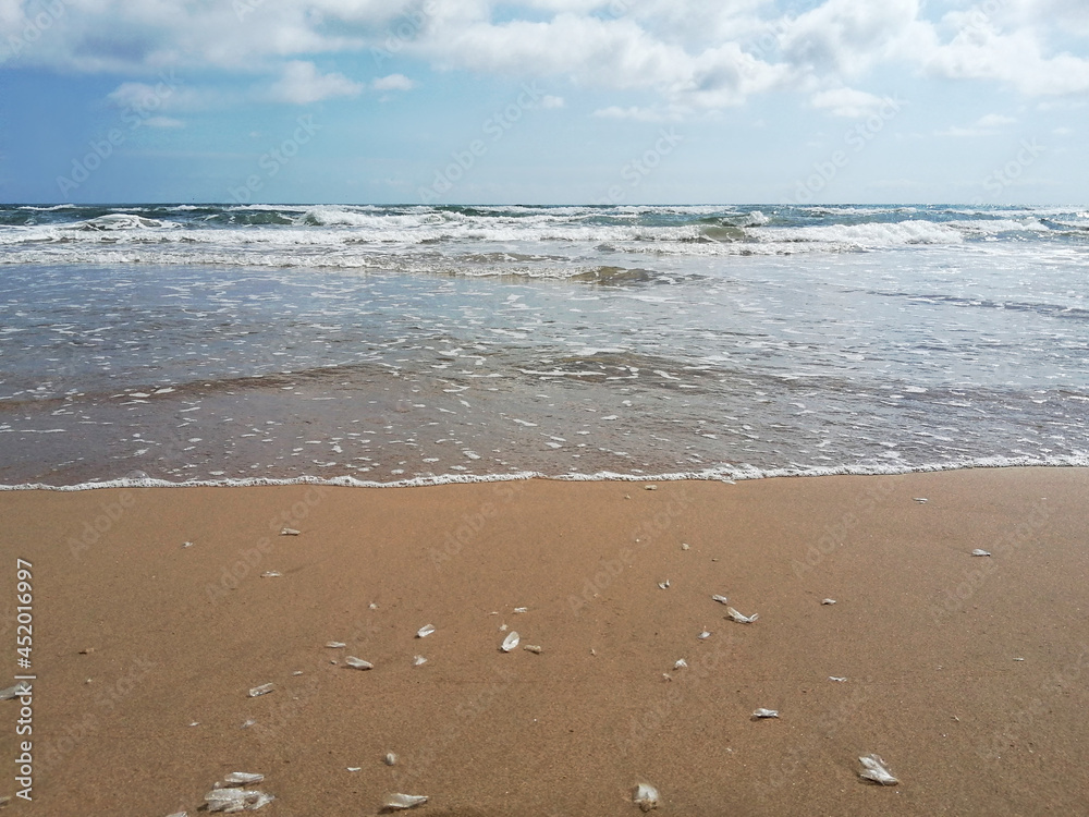waves on the beach waves on the beach