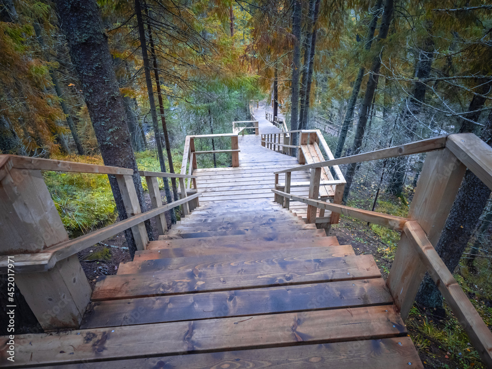 A wooden staircase runs through the wild forest. The tourist route passes through a pine forest. A staircase with Seating areas runs along the rocks. Journey through the forest. A wooden staircase runs through the wild forest. The tourist route passes through a pine forest. A staircase with Seating areas runs along the rocks. Journey through the forest.