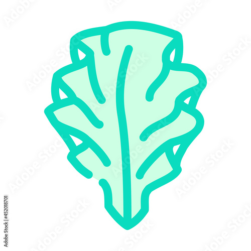 ulva lettuce seaweed color icon vector. ulva lettuce seaweed sign. isolated symbol illustration photo