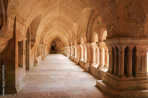 Bourgogne - Côte-d'Or - Montbard - Marmagne - Abbaye de Fontenay - Bas-côté du cloitre