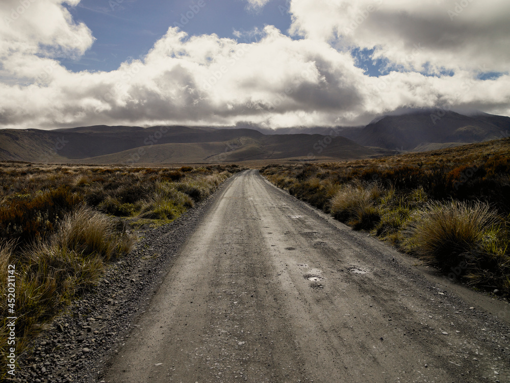 Gravel road running through tussock grass wilderness Gravel road running through tussock grass wilderness