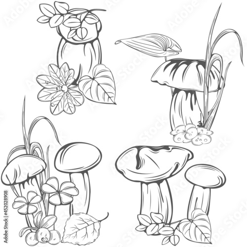 Set with edible mushrooms