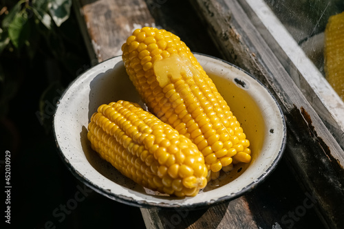 sweet ripe boiled corn on the cob lies in a metal bowl near a wooden window