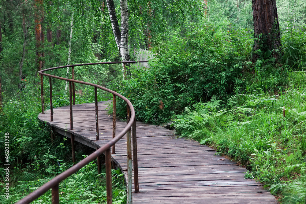Obraz premium A winding bridge in the forest. Wooden boardwalk in the green forest. A beautiful hiking trail or footpath through the forest.