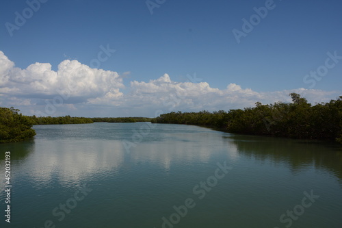 Fototapeta Naklejka Na Ścianę i Meble -  Florida Wild Rivers