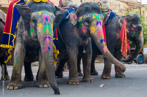 Colorful hand painted elephants, Holi festival, Jaipur, Rajasthan, India 