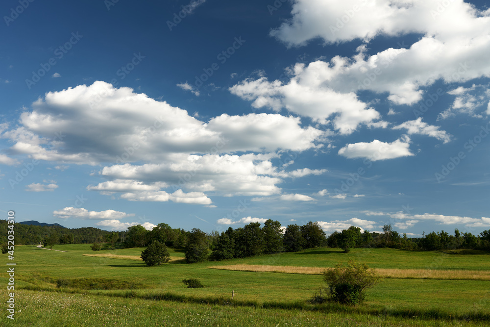 field and blue sky on banjska planota slovenia