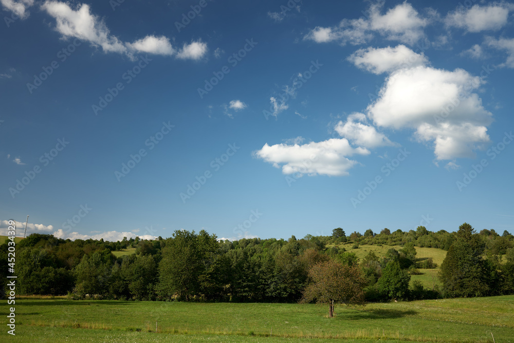 field and blue sky on banjska planota slovenia