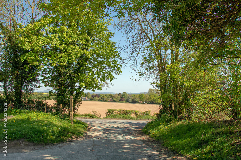 Country road in the summertime. Country road in the summertime.