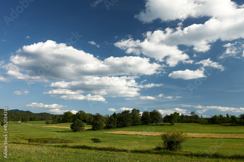 field and blue sky on banjska planota slovenia photo