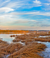Wandcirkels Herfst Moerasoever bij rivier in herfstavond  © Alx_Yago