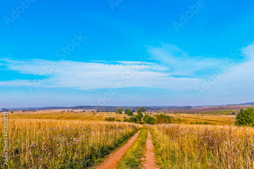 landscape with a dirt road in a field in an autumn day