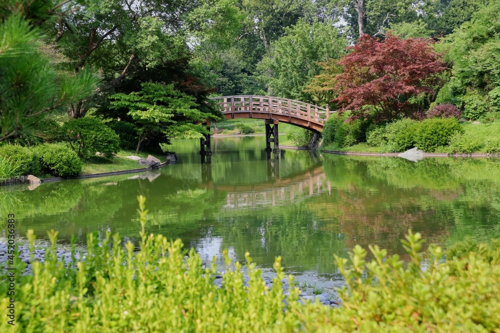bridge in the park bridge in the park