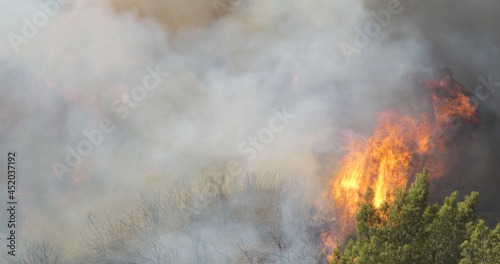 Woolsey Fire, Malibu California Post fire Burnt Mountains  © Neil