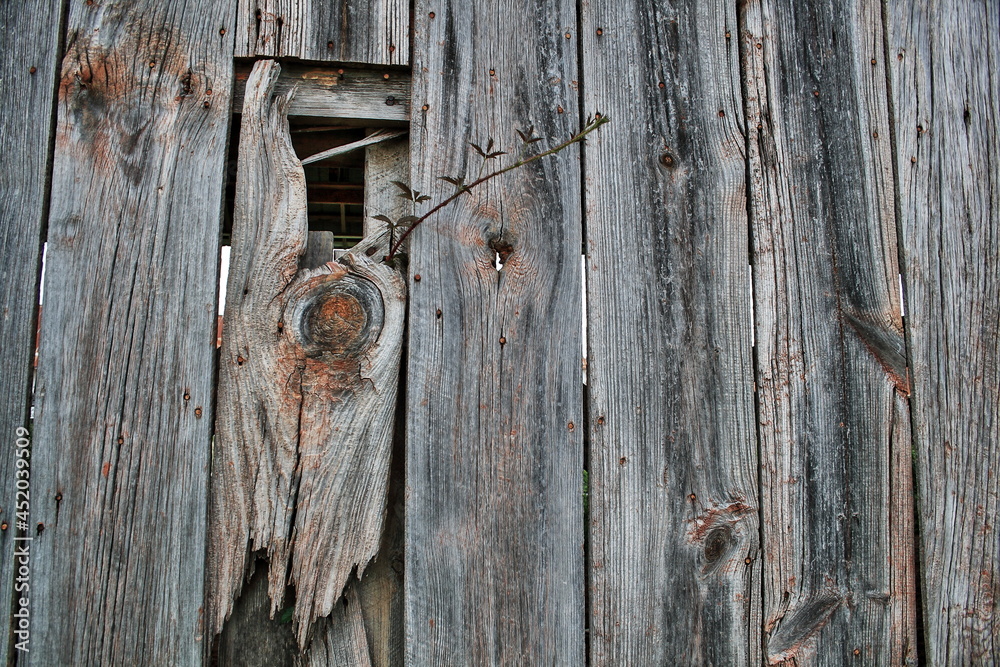 Chalk Mountain Shed Chalk Mountain Shed
