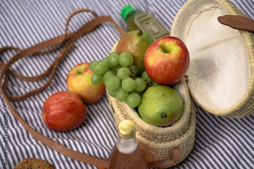 assorted apple pear grape cookies oatmeal tomatoes picnic summer in park on blanket striped 