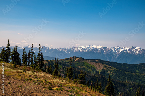 Hiking trails through mountains with forests and snow capped peaks