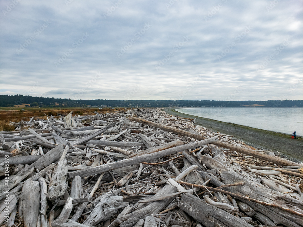 Driftwood piled up along a stretch of beach Driftwood piled up along a stretch of beach