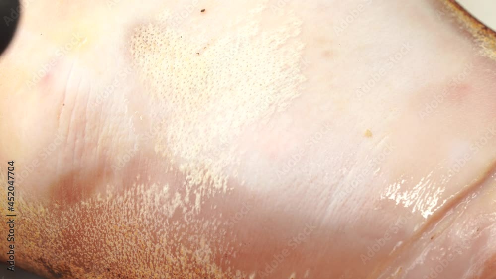 Raw pork knuckle with fresh meat ingredients Raw pork knuckle with fresh meat ingredients