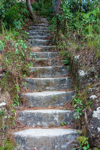stairs in the woods