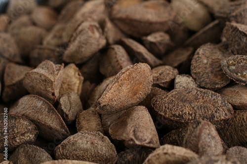 Castanha do Brasil