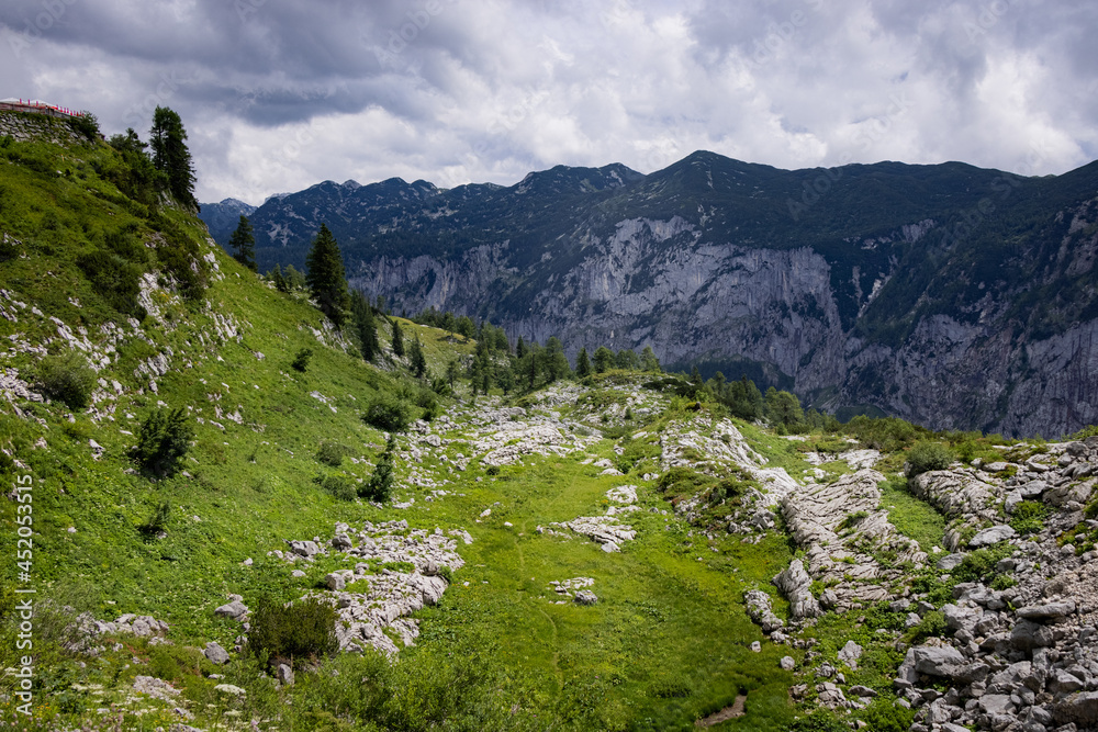 Typical panoramic view in the Austrian Alps with mountains and fir trees - Mount Loser Altaussee - travel photography