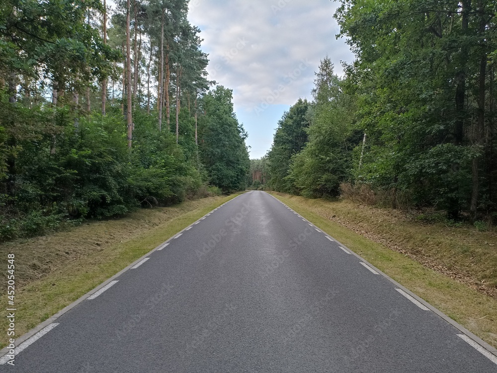 Fototapeta premium 2021-08-20