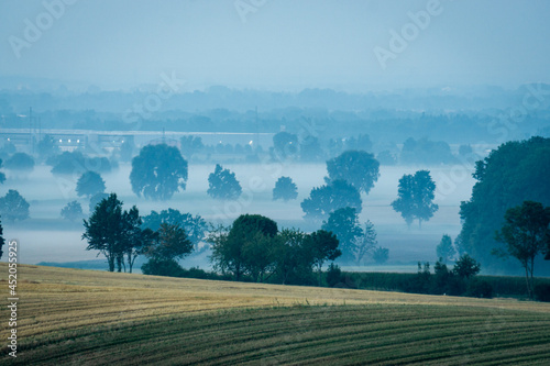 Bodennebel am morgen