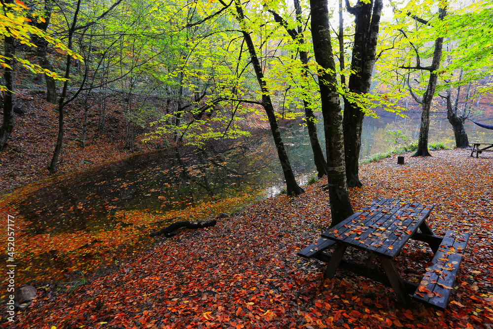The national park in Bolu, which should be seen in autumn. (Yedigöller Milli Parkı). Bolu, Istanbul, Turkey.