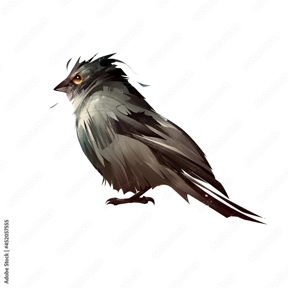 painted color bird sparrow on white background painted color bird sparrow on white background