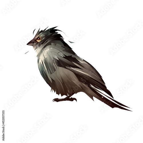painted color bird sparrow on white background